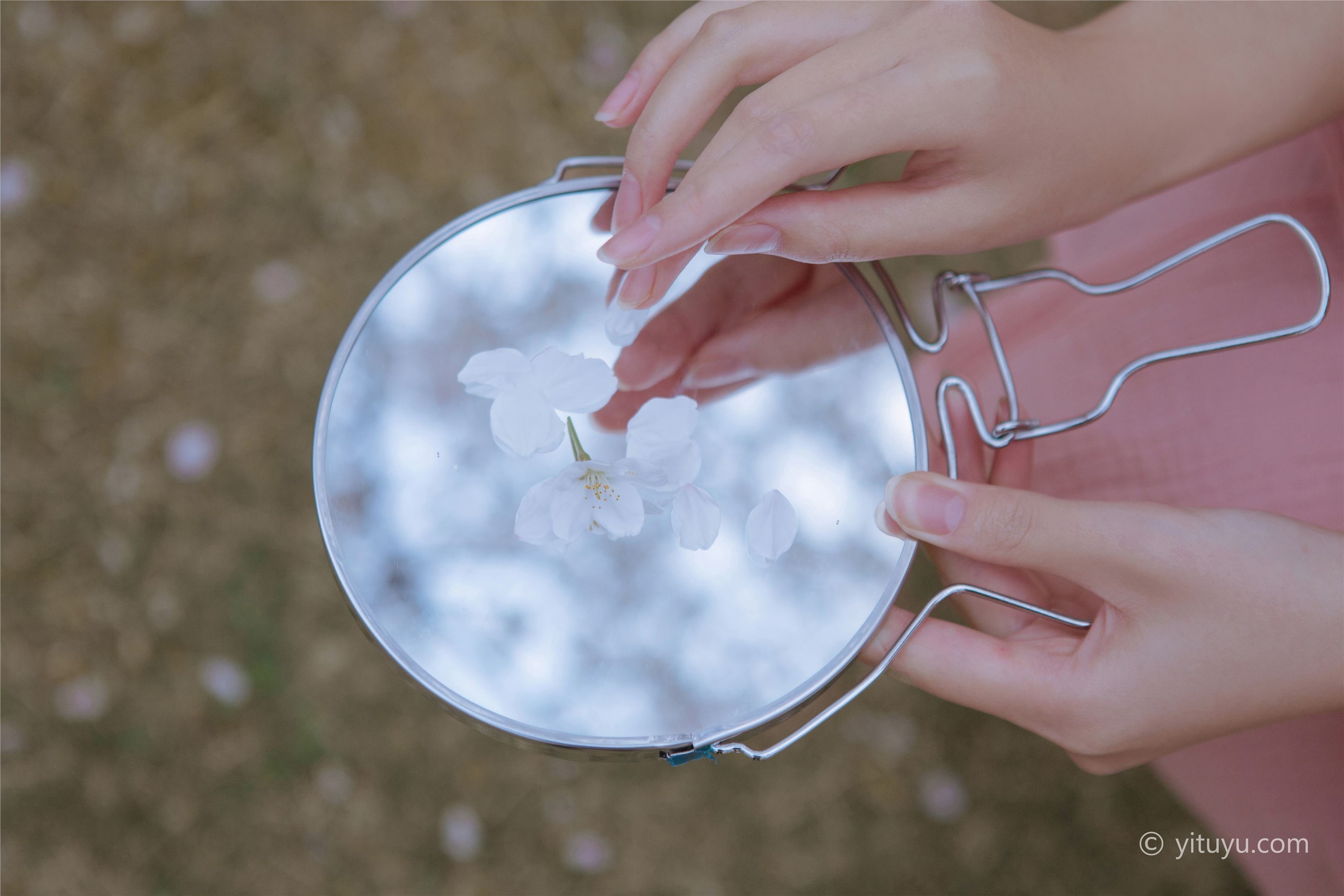 YITUYU艺图语  2021.05.19 起风渐暖，樱花将灿 一只小四月